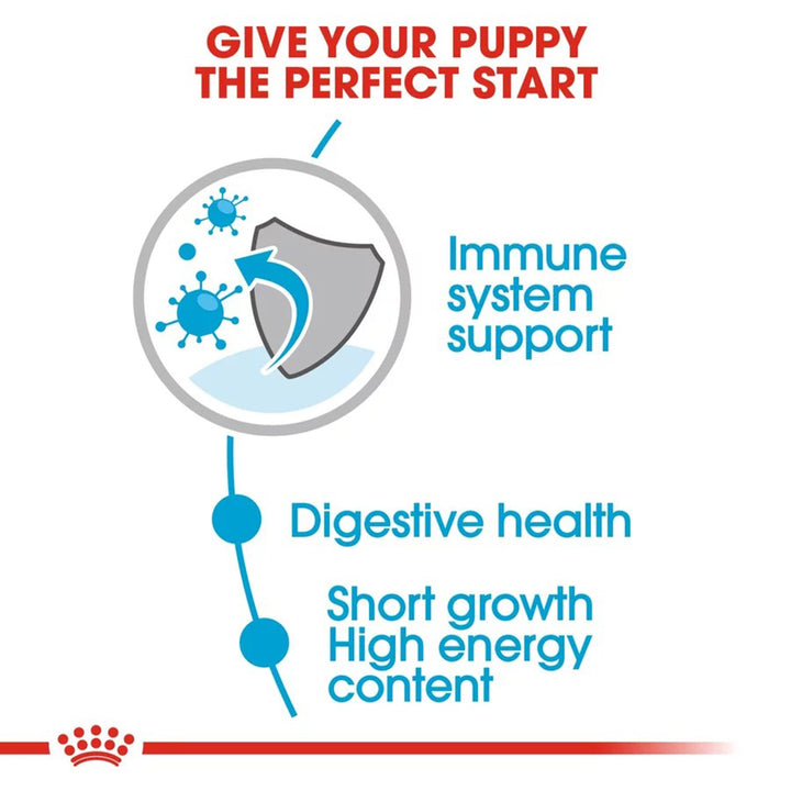 Royal Canin Medium Puppy Wet Dog Food 140g