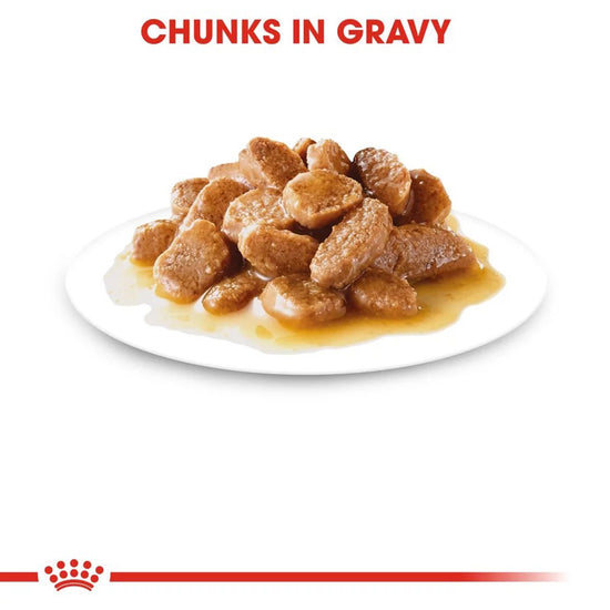 royal-canin-mini-adult-wet-dog-food-85g