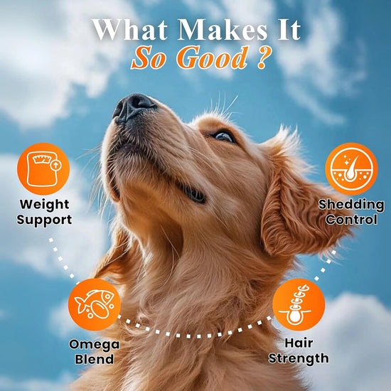 Neo Kumfurt Furpro 40 Protein Powder for Dogs and Cats - 400g