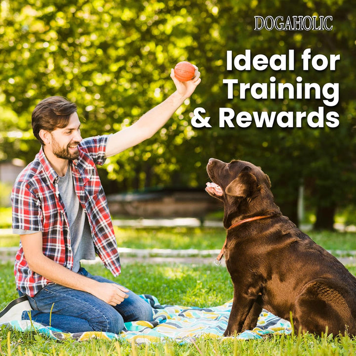 Dogaholic Chicken Bacon Bone Bbq Dog Treat - 10 Pieces