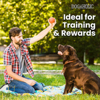 Dogaholic Chicken Bacon Bone Bbq Dog Treat - 10 Pieces