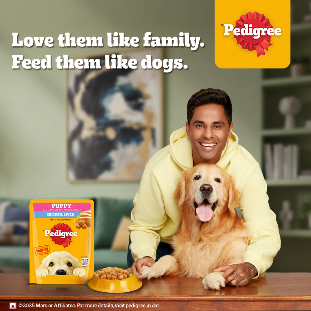 Pedigree Puppy Chicken Liver in Loaf with Vegetables - Wet Dog Food - All Breeds - 70g