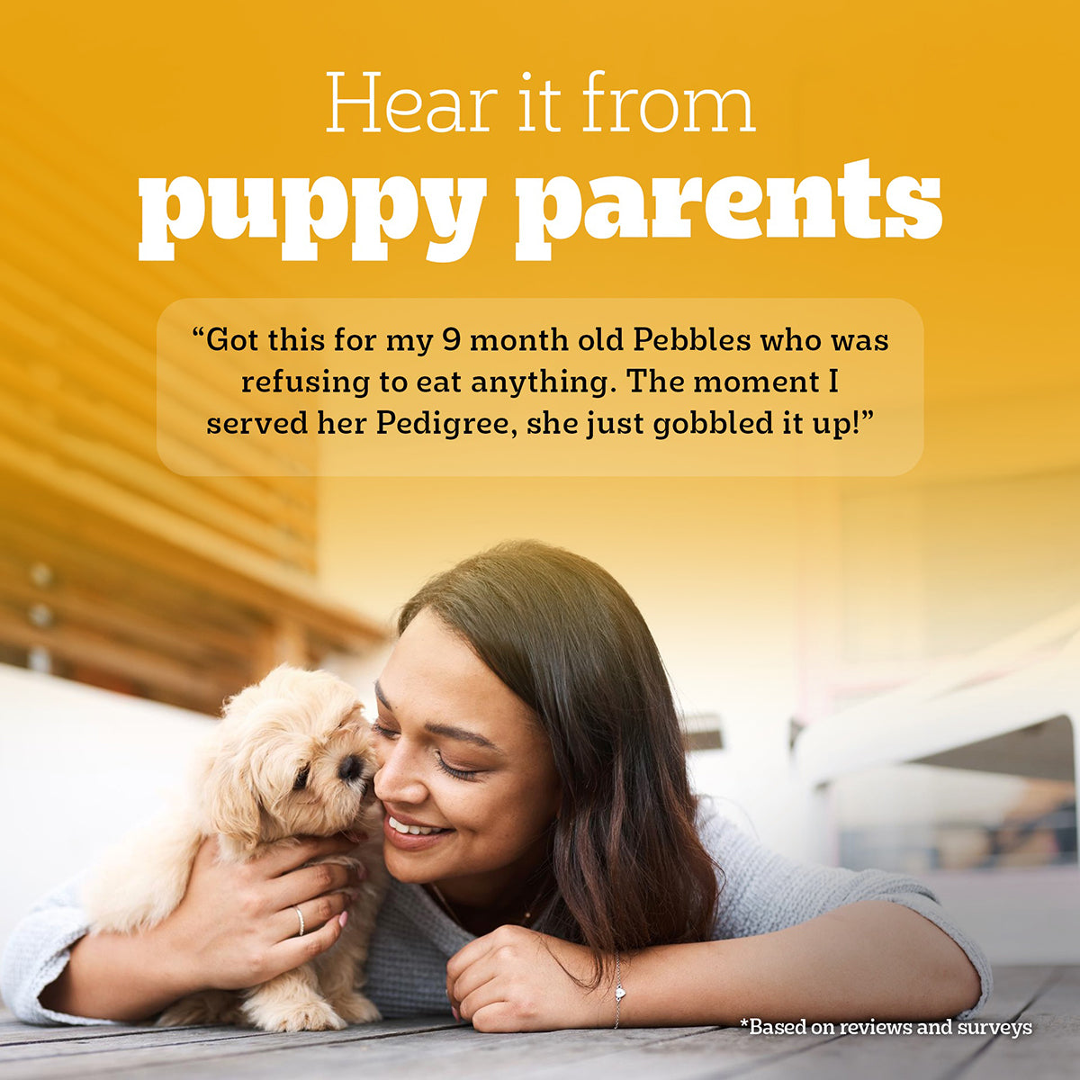 Pedigree Puppy Chicken Liver in Loaf with Vegetables - Wet Dog Food - All Breeds - 70g