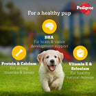 Pedigree Chicken Liver in Loaf with Vegetables - Puppy Wet Dog Food - All Breeds - 70g