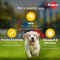 Pedigree Puppy Chicken Liver in Loaf with Vegetables - Wet Dog Food - All Breeds - 70g