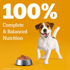 Pedigree Chicken Liver in Loaf with Vegetables - Puppy Wet Dog Food - All Breeds - 70g