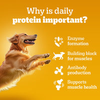 Pedigree Adult Chicken Grilled Liver in Loaf with Vegetables - Wet Dog Food - All Breeds - 70g