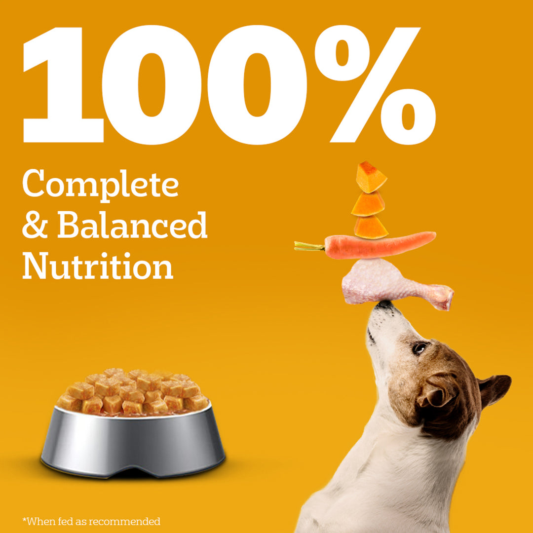 Pedigree Adult Chicken Grilled Liver in Loaf with Vegetables - Wet Dog Food - All Breeds - 70g