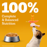 Pedigree Adult Chicken Grilled Liver in Loaf with Vegetables - Wet Dog Food - All Breeds - 70g