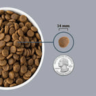 Zigly dry dog food kibble in bowl, kibble size 14mm, coin for scale