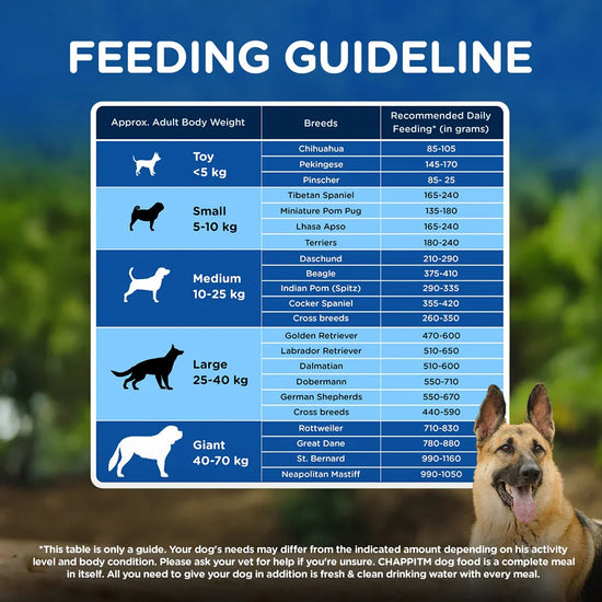 Chappi Chicken & Rice Dry Dog Food-20kg