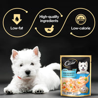 Cesar Sasami with Whitefish & Vegetables in Jelly Wet Dog Food - All Breed Adult - 70g