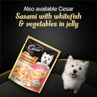 Cesar Sasami with Whitefish & Vegetables in Jelly Wet Dog Food - All Breed Adult - 70g - Zigly