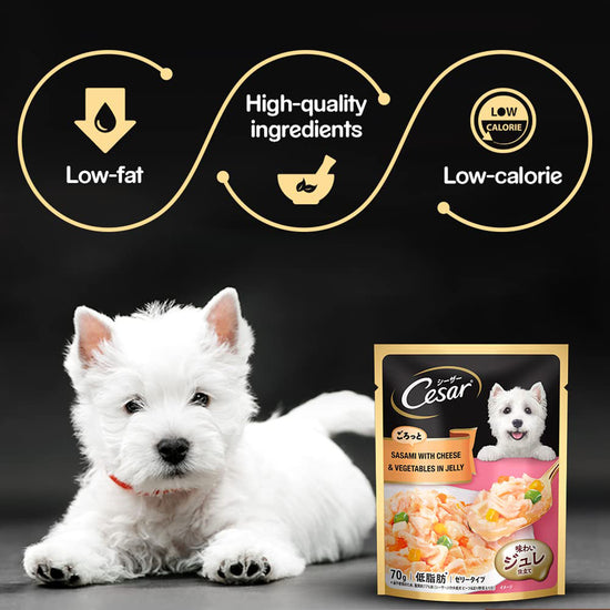 cesar-sasami-with-cheese-vegetable-in-jelly-wet-dog-food-all-breed-adult-70g