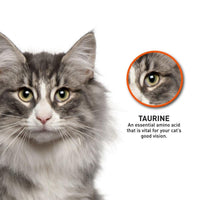 ProDiet Gourmet Seafood Dry Cat Food - 1.5kg