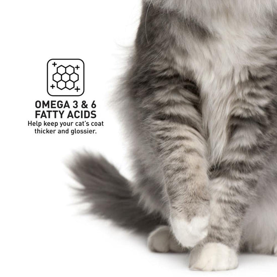 prodiet-gourmet-seafood-dry-cat-food-1-5kg