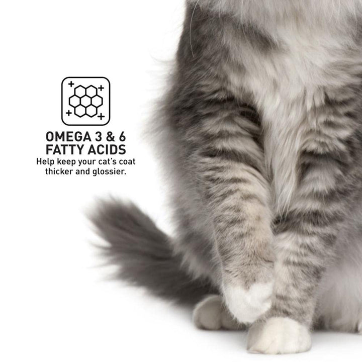 ProDiet Gourmet Seafood Dry Cat Food - 1.5kg
