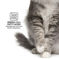 ProDiet Gourmet Seafood Dry Cat Food - 1.5kg