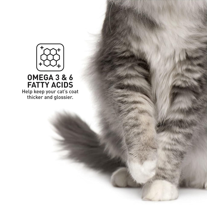 Prodiet Tuna Wet Cat Food - 85g