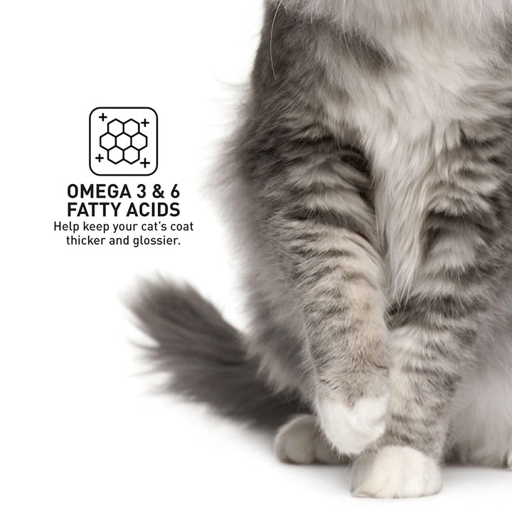 Prodiet Tuna Wet Kitten Food - 85g