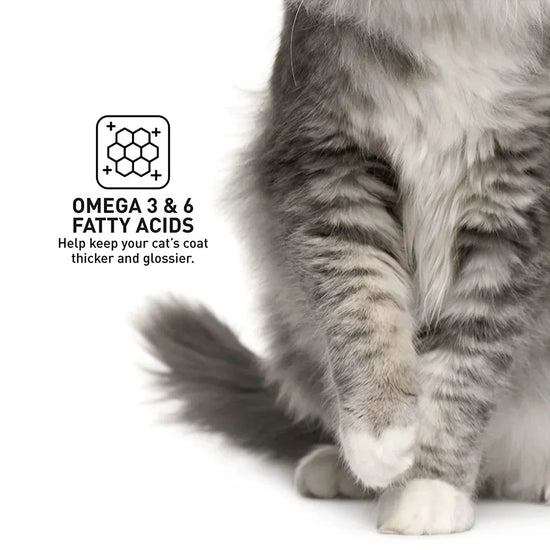 Prodiet Chicken & Tuna Wet Cat Food - 85g - Zigly