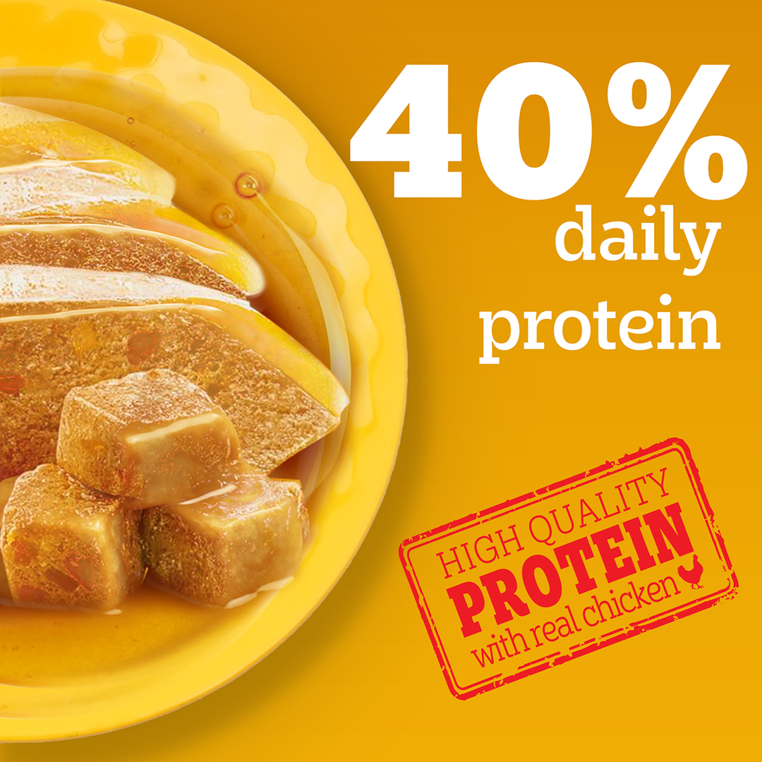 Pedigree Puppy Chicken Liver in Loaf with Vegetables - Wet Dog Food - All Breeds - 70 g