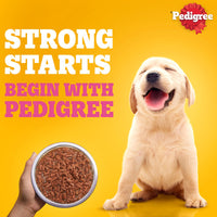 Pedigree Puppy Chicken Liver in Loaf with Vegetables - Wet Dog Food - All Breeds - 70 g