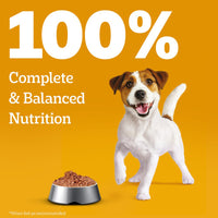 Pedigree Puppy Chicken Liver in Loaf with Vegetables - Wet Dog Food - All Breeds - 70 g