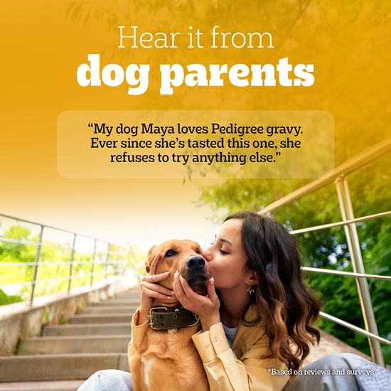 Pedigree Adult Grilled Liver Chunks In Gravy With Vegetables - Wet Dog Food - 70g