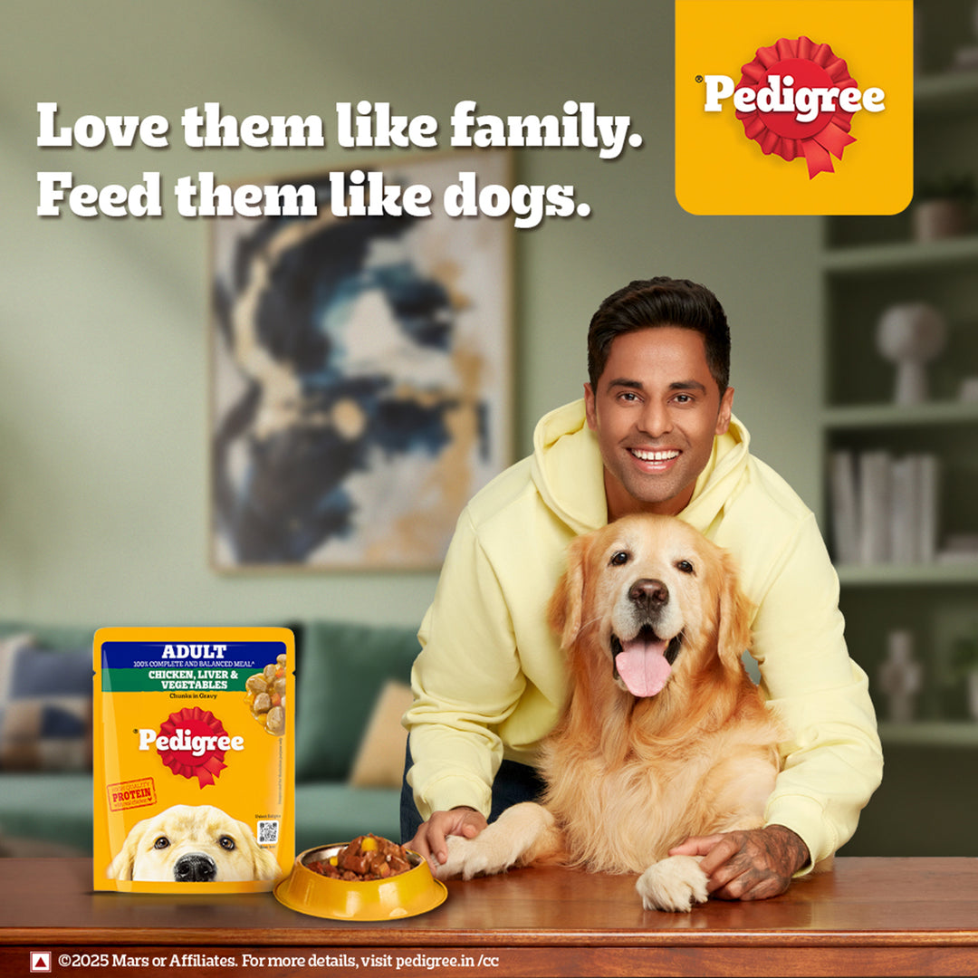 Pedigree Adult Grilled Liver Chunks In Gravy With Vegetables - Wet Dog Food - 70g