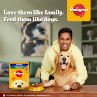 Pedigree Adult Grilled Liver Chunks In Gravy With Vegetables - Wet Dog Food - 70g