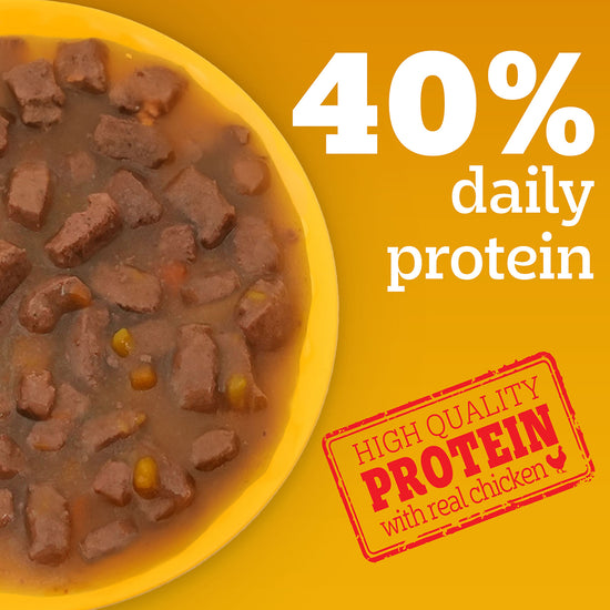 Pedigree Adult Grilled Liver Chunks In Gravy With Vegetables - Wet Dog Food - 70g