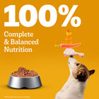 Pedigree Grilled Liver Chunks In Gravy With Vegetables - Adult Wet Dog Food - 70g