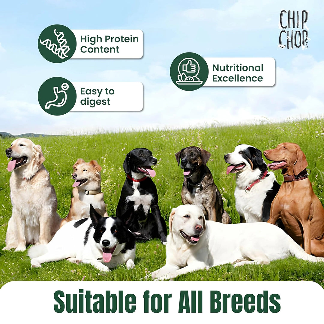 Chip Chops Chicken Nuggets Dog Meaty Treat - 100g