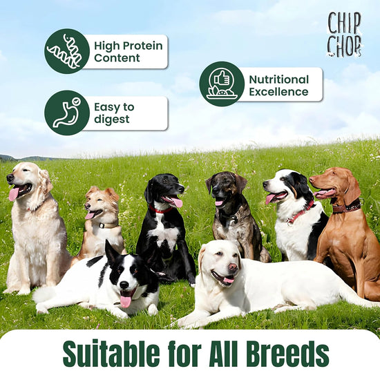 Chip Chops Chicken Nuggets Dog Meaty Treat - 100g