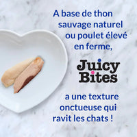 inaba-juicy-bites-scallop-n-crab-flavor-cat-treat-33-9-g