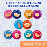 inaba-juicy-bites-scallop-n-crab-flavor-cat-treat-33-9-g