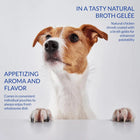 inaba-chicken-stew-chicken-recipe-wet-cat-food-all-breeds-and-life-stages-40g
