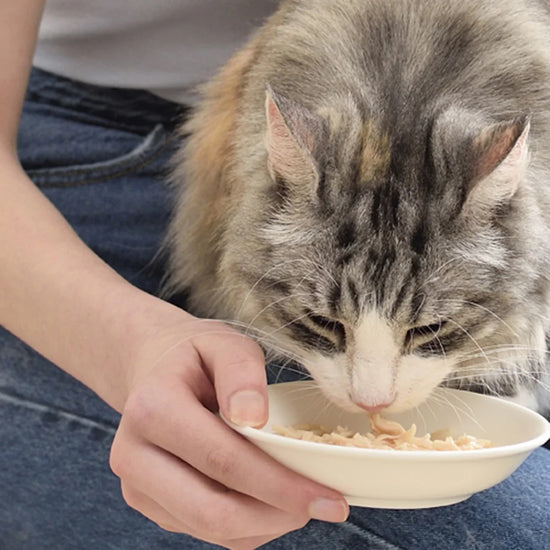 inaba-chicken-stew-chicken-n-tuna-recipe-wet-cat-food-all-breeds-and-life-stages-40g