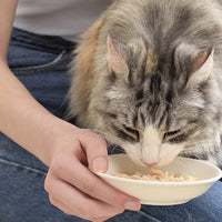 inaba-chicken-stew-chicken-n-tuna-recipe-wet-cat-food-all-breeds-and-life-stages-40g