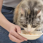 inaba-chicken-stew-chicken-n-salmon-recipe-wet-cat-food-all-breeds-and-life-stages-40g