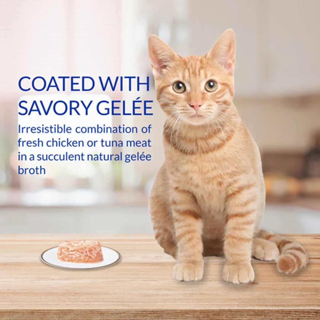 inaba-cat-twins-cup-chicken-recipe-wet-cat-food-all-breeds-and-life-stages-70g