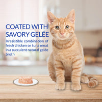 inaba-cat-twins-cup-chicken-recipe-wet-cat-food-all-breeds-and-life-stages-70g