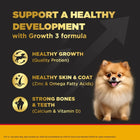 Pedigree PRO Expert Nutrition Chicken Small Breed Puppy Dry Dog Food - 3kg - Zigly