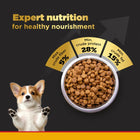 Pedigree PRO Expert Nutrition Chicken Small Breed Puppy Dry Dog Food - 3kg - Zigly