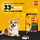 Pedigree Pro Adult Small Breed Dog Dry Food - 9 Months Above - 3kg - Zigly