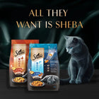 Sheba Irresistible Salmon Kitten and Adult Dry Cat Food - 1.5kg