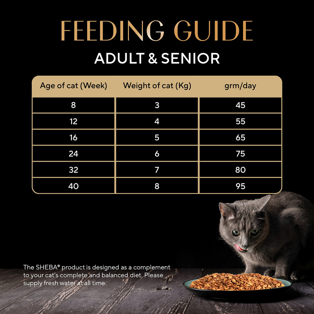 Sheba Irresistible Salmon Kitten and Adult Dry Cat Food - 1.5kg