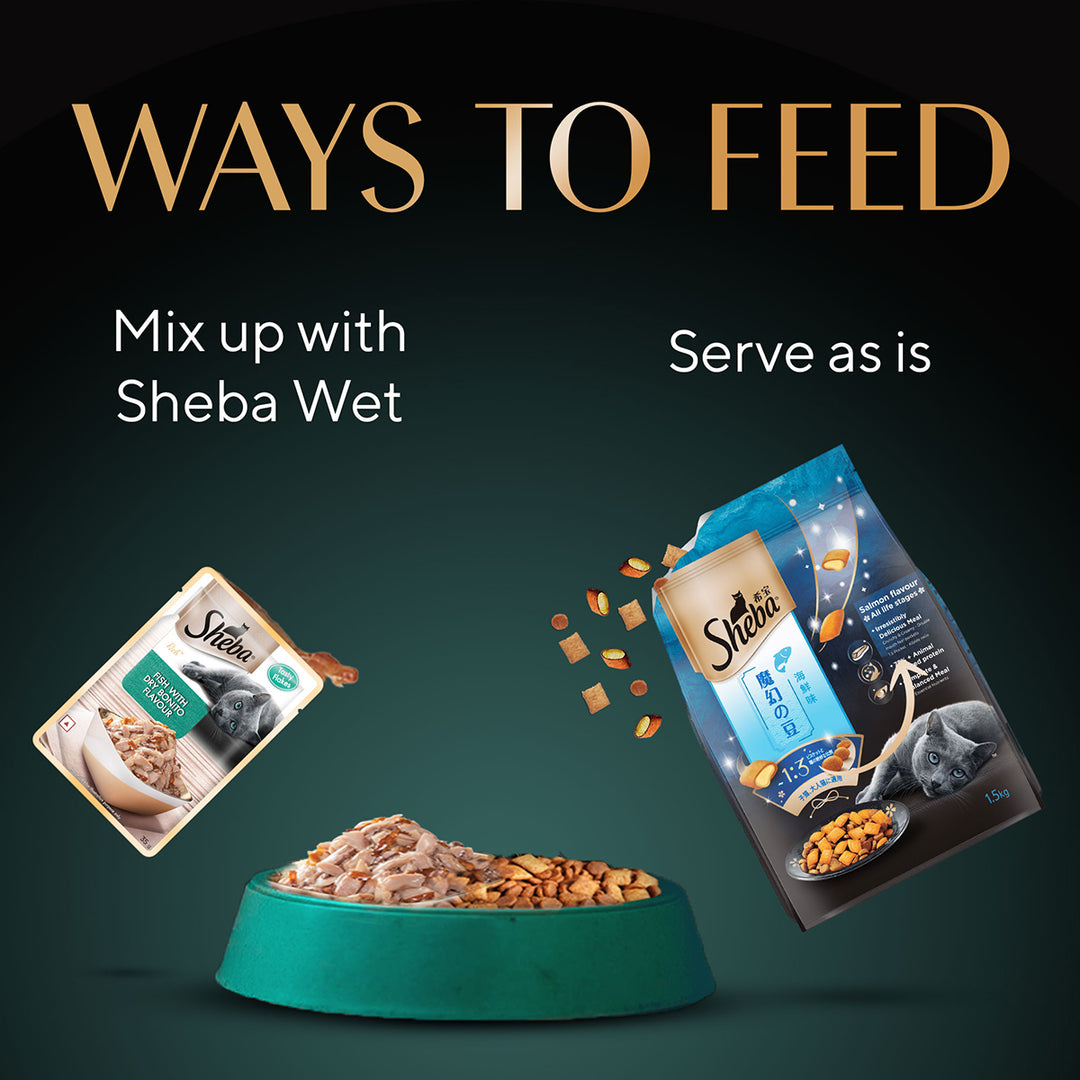 Sheba Irresistible Salmon Kitten and Adult Dry Cat Food - 1.5kg