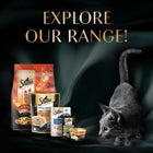Sheba Irresistible Salmon Kitten and Adult Dry Cat Food - 1.5kg
